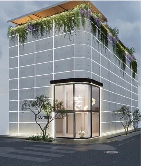 Proyecto Ilumina